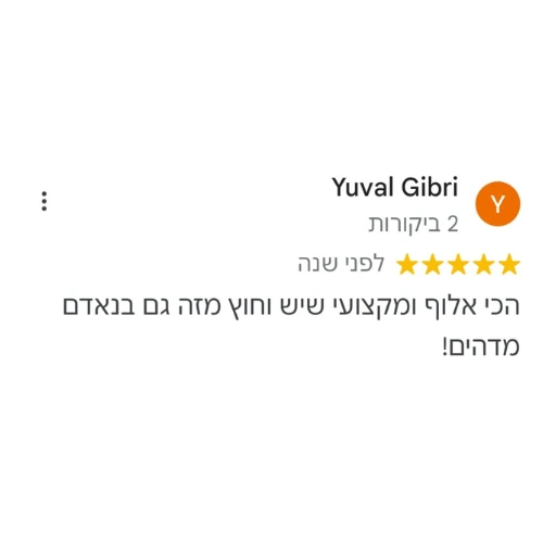המלצה 6
